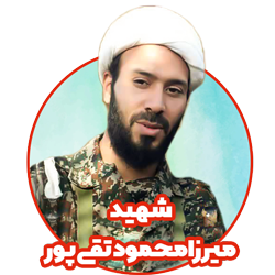 شهید میرزا محمود تقی پور پیش دبستانی مدرسه هوش و هیجان